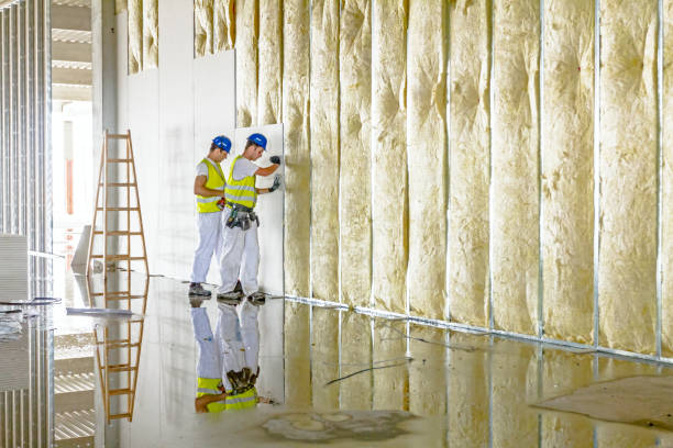 Best Insulation Maintenance and Repair in Norton Center, MA